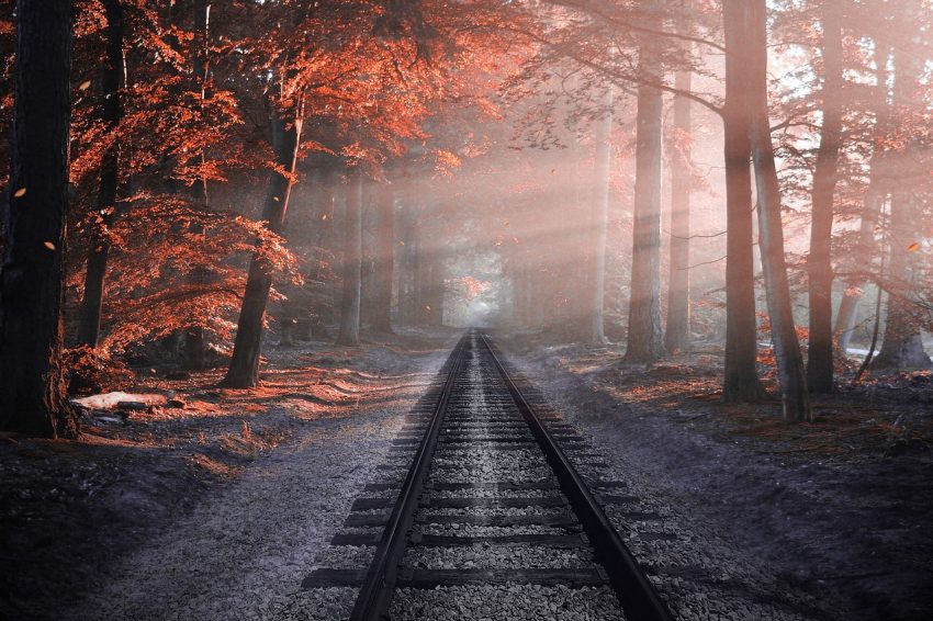 Railroad tracks stretch into the distance between trees with autumn foliage.